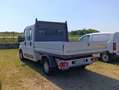 Fiat Ducato 35 2.0 MJT PM-DC Cassonato*DOBBIA GABINA* Bianco - thumbnail 4