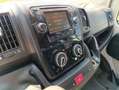 Fiat Ducato 35 2.0 MJT PM-DC Cassonato*DOBBIA GABINA* Bianco - thumbnail 12