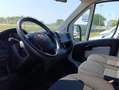 Fiat Ducato 35 2.0 MJT PM-DC Cassonato*DOBBIA GABINA* Bianco - thumbnail 5