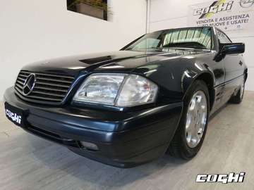SL 320 cat