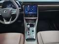 Lexus LBX Elegant+ Rot - thumbnail 15