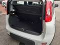 Fiat Panda Panda 1.0 firefly hybrid City Life S&S Neopatent. Bianco - thumbnail 7