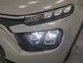 Citroen C3 BlueHDi 73KW (100CV) S&S Comercial - Beige - thumbnail 12