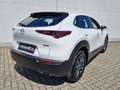Mazda CX-30 G140PS 6MT 2WD 2.5L PRIME-LINE Weiß - thumbnail 5