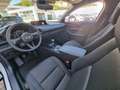 Mazda CX-30 G140PS 6MT 2WD 2.5L PRIME-LINE Weiß - thumbnail 12