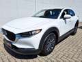Mazda CX-30 G140PS 6MT 2WD 2.5L PRIME-LINE Weiß - thumbnail 4