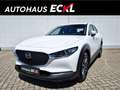 Mazda CX-30 G140PS 6MT 2WD 2.5L PRIME-LINE Weiß - thumbnail 1