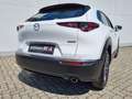 Mazda CX-30 G140PS 6MT 2WD 2.5L PRIME-LINE Weiß - thumbnail 7