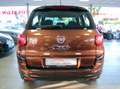 Fiat 500L 1.4 16V S-Design Kamera 2.Hand Alu PDC TÜV Brun - thumbnail 6