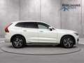Volvo XC60 - 2.0 T8 Twin Engine AWD R-Design // 1E EIGENAAR / Wit - thumbnail 9
