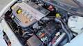 Alfa Romeo 147 5p 1.9 jtd BlackLine 120cv Bianco - thumbnail 10