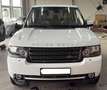 Land Rover Range Rover V8 HSE 5.0 375hp - thumbnail 2