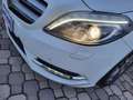 Mercedes-Benz B 180 CDI ** PREMIUM ** FULL OPTIONALS - CAMBIO MANUALE Blanco - thumbnail 26