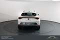 CUPRA Formentor 150PS TSI*Ambiente*ACC*LP neu €40.000,- Weiß - thumbnail 8