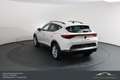 CUPRA Formentor 150PS TSI*Ambiente*ACC*LP neu €40.000,- Weiß - thumbnail 9