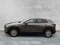 Mazda CX-30 SELECTION 2.0 SKYACTIV M HYBRID SHZ+PDC - thumbnail 2