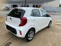 Kia Picanto Picanto 1.0i Pure ISG Blanc - thumbnail 4