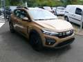 Dacia Sandero III Stepway Extreme,Klima,PDC,Kam,Sitz, Beige - thumbnail 23