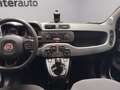 Fiat Panda 1.0 hybrid City Cross s&s 70cv Mavi - thumbnail 12