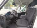 Fiat Ducato Ch.Cb. Maxi 35 2.2BlueHDi L4 H1 103KW Blanco - thumbnail 12