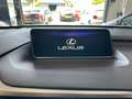 Lexus RX 450h 4WD President Line Maro - thumbnail 16
