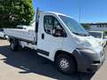 Fiat Ducato *Pritsche*Tüv 2/2026 Weiß - thumbnail 9