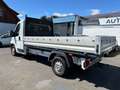 Fiat Ducato *Pritsche*Tüv 2/2026 Weiß - thumbnail 6