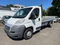 Fiat Ducato *Pritsche*Tüv 2/2026 Weiß - thumbnail 4