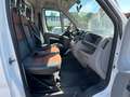 Fiat Ducato *Pritsche*Tüv 2/2026 Weiß - thumbnail 12