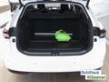 Skoda Superb Combi Selection 2,0 TDI DSG Bluetooth Navi Biały - thumbnail 12