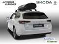 Skoda Superb Combi Selection 2,0 TDI DSG Bluetooth Navi Biały - thumbnail 3
