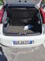 Fiat Grande Punto Grande Punto 2005 5p 1.4 natural powerActual 77cv Alb - thumbnail 5