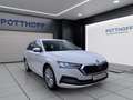 Skoda Octavia Combi 2.0 TDI DSG STYLE NAVI ACC SITZHZG PDC Weiß - thumbnail 6