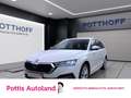 Skoda Octavia Combi 2.0 TDI DSG STYLE NAVI ACC SITZHZG PDC Weiß - thumbnail 1