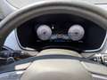 Hyundai SANTA FE Santa Fe Luxury Line 4WD Aut. Grau - thumbnail 17