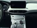 Hyundai SANTA FE Santa Fe Luxury Line 4WD Aut. Grau - thumbnail 18
