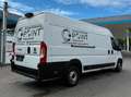 Fiat Ducato L4H2 Weiß - thumbnail 2