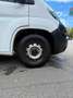Fiat Ducato L4H2 Weiß - thumbnail 16