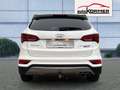 Hyundai SANTA FE 2.2 CRDI 4WD Premium 7-Si.,360°,Pano,Leder,AHK Blanc - thumbnail 3