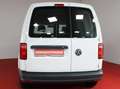 Volkswagen Caddy Kasten 1.0TSI 234,-ohne Anzahlung Klima Einparkhi Weiß - thumbnail 14