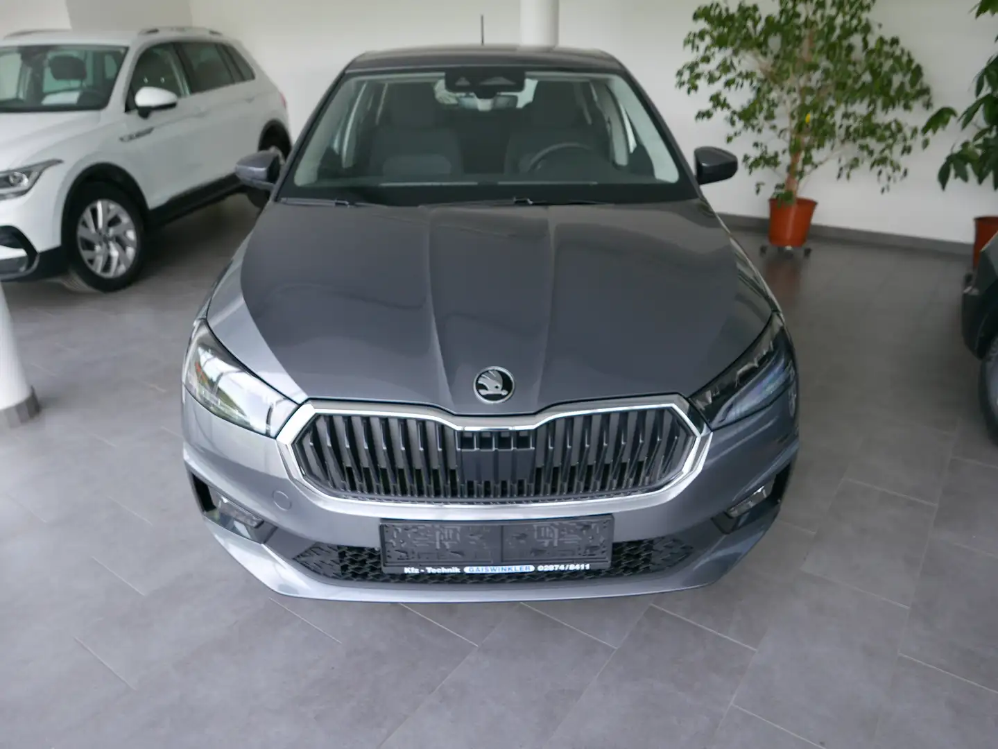 Skoda Fabia Selection Sitzh Lenkradh Rückfahrkam LED Grau - 2
