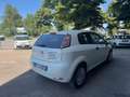 Fiat Punto PUNTO VAN euro 6b  benzina gas Blanc - thumbnail 4