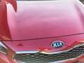 Kia Ceed SW / cee'd SW cee'd SW 1,4 CRDi Titan Titan Rot - thumbnail 5