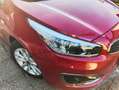 Kia Ceed SW / cee'd SW cee'd SW 1,4 CRDi Titan Titan Rot - thumbnail 3