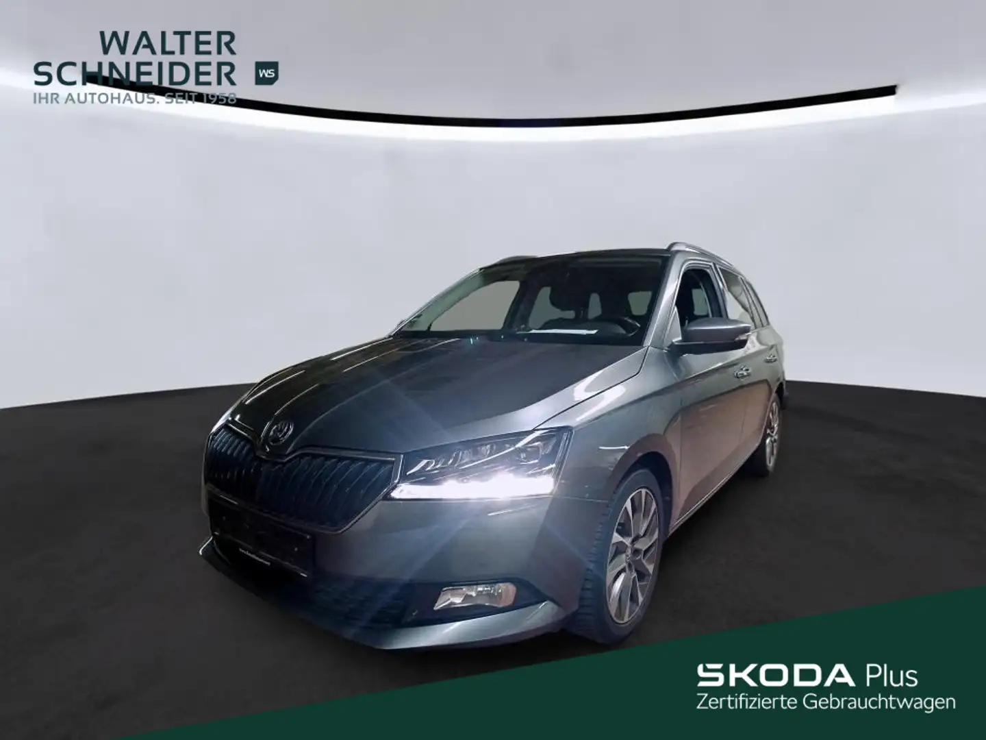 Skoda Fabia Combi 1.0 TSI Best of LED Sitzheizung Grau - 1