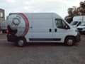 Fiat Ducato Ducato 2.3 Multijet 2 130 pk l2h2 airco navi++++++ Weiß - thumbnail 3