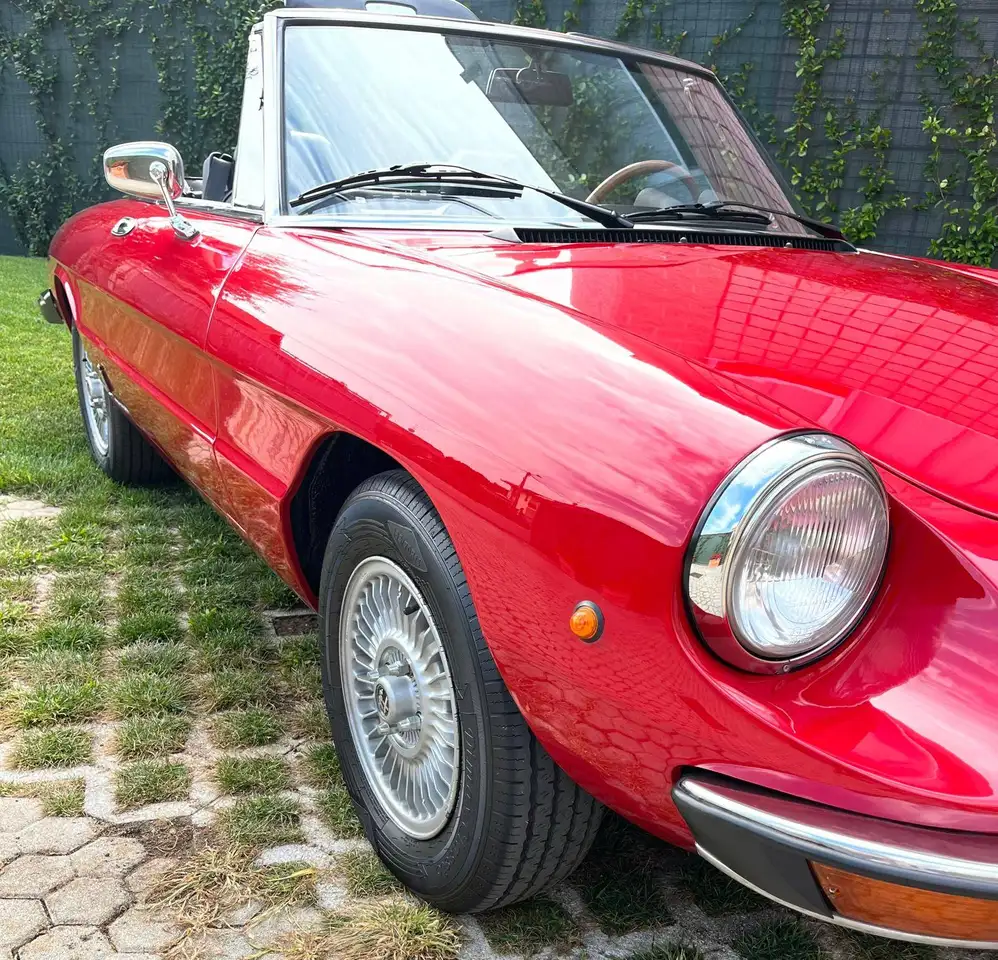Alfa Romeo Spider CODA TRONCA, foto 5