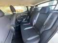 Nissan Qashqai 1.5 dCi 115 CV Business Bianco - thumbnail 11