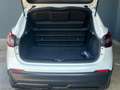Nissan Qashqai 1.5 dCi 115 CV Business Bianco - thumbnail 7