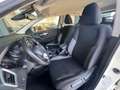 Nissan Qashqai 1.5 dCi 115 CV Business Bianco - thumbnail 13